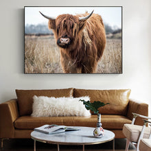 Charger l&#39;image dans la galerie, Highland Cow
