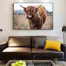 Charger l&#39;image dans la galerie, Highland Cow
