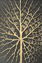 Charger l&#39;image dans la galerie, Abstract Golden Tree Root Wall Art
