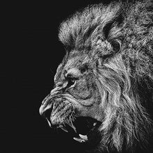 Load image into Gallery viewer, Black and White Lion King
