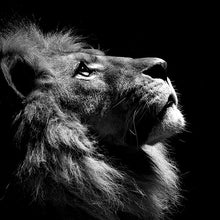 Load image into Gallery viewer, Black and White Lion King
