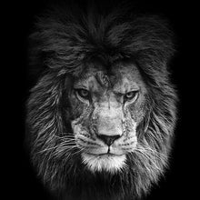 Load image into Gallery viewer, Black and White Lion King
