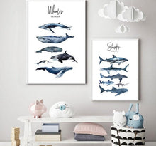 Charger l&#39;image dans la galerie, Nautical Sea Nursery Decor
