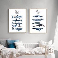 Load image into Gallery viewer, Nautical Sea Nursery Decor
