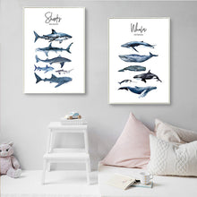 Load image into Gallery viewer, Nautical Sea Nursery Decor
