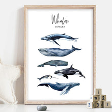 Charger l&#39;image dans la galerie, Nautical Sea Nursery Decor
