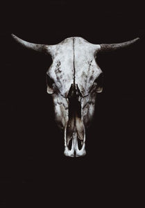 Nordic Black And White Cow Skull