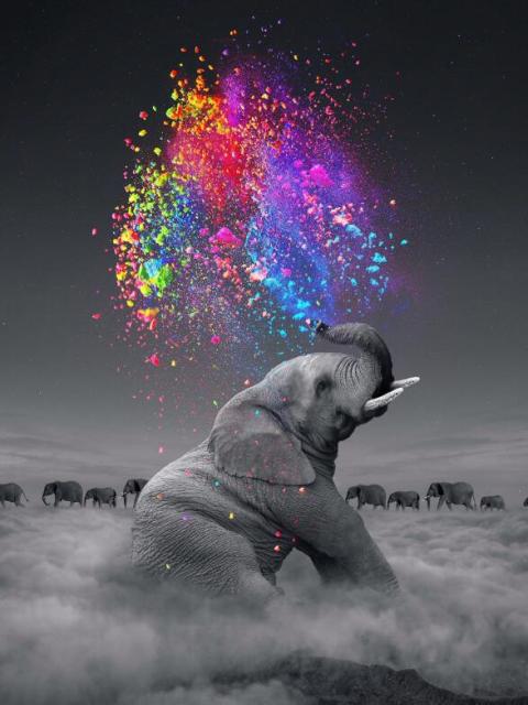 Cute Elephant Blowing Rainbow