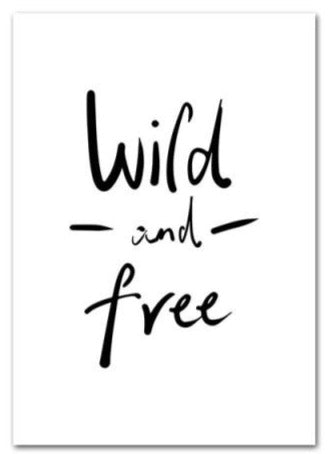 Wild & Free Wall Art