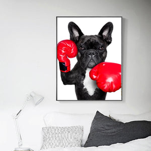 Boston Terrier Boxing