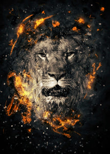 Modern Lion Fire