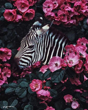 Load image into Gallery viewer, Modern Floral Zebra
