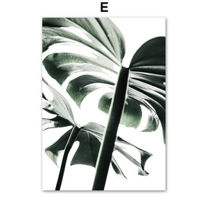 Green Tropical Plant Wall Art