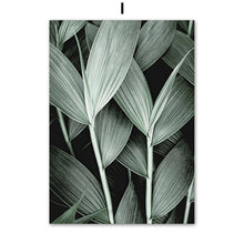 Charger l&#39;image dans la galerie, Green Tropical Plant Wall Art
