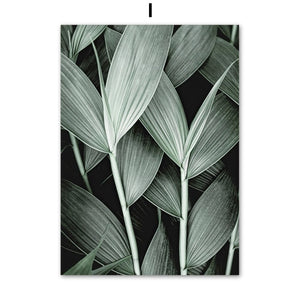 Green Tropical Plant Wall Art