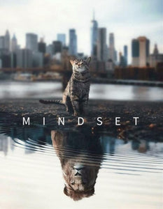 Mindset Is Everything