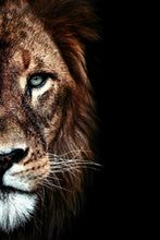 Load image into Gallery viewer, Lion And Lioness Wall Art Photography
