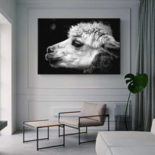 Load image into Gallery viewer, Black and White Alpaca Photography
