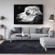 Load image into Gallery viewer, Black and White Alpaca Photography
