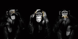 See no evil, Hear no evil, Speak no evil