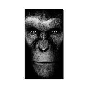 Modern Black & White Gorilla