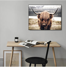 Load image into Gallery viewer, Highland Wild Cow Photography Art
