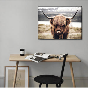 Highland Wild Cow Photography Art