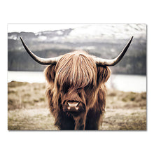 Load image into Gallery viewer, Highland Wild Cow Photography Art
