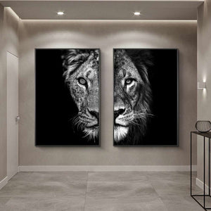 Black and White Lion And Lioness