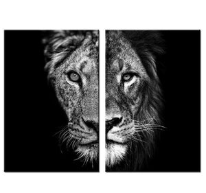 Black and White Lion And Lioness