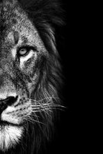 Load image into Gallery viewer, Black and White Lion And Lioness
