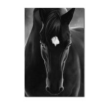 Charger l&#39;image dans la galerie, Modern Black and White Horse
