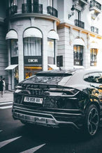 Charger l&#39;image dans la galerie, Luxury Fashion Parisian Dior Lambo
