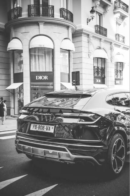 Luxury Fashion Parisian Dior Lambo - Black and white edition