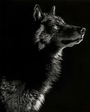 Load image into Gallery viewer, Black and White Wolf
