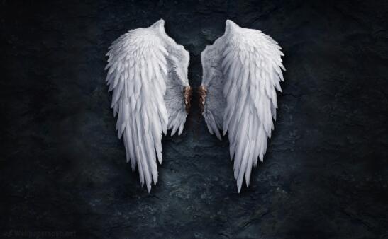 Modern Angel Wings